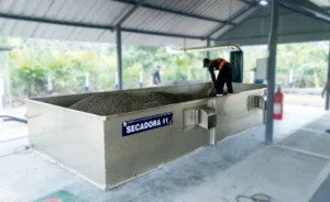 Secadora rectangular de cacao, maíz y café