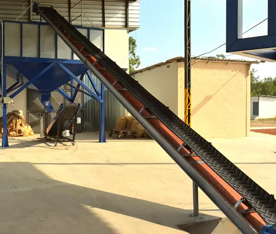 Transporadoras de bandas de carga al grandel. Posición fija