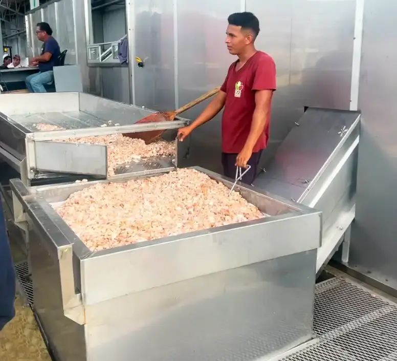 Línea full - mesa de selección