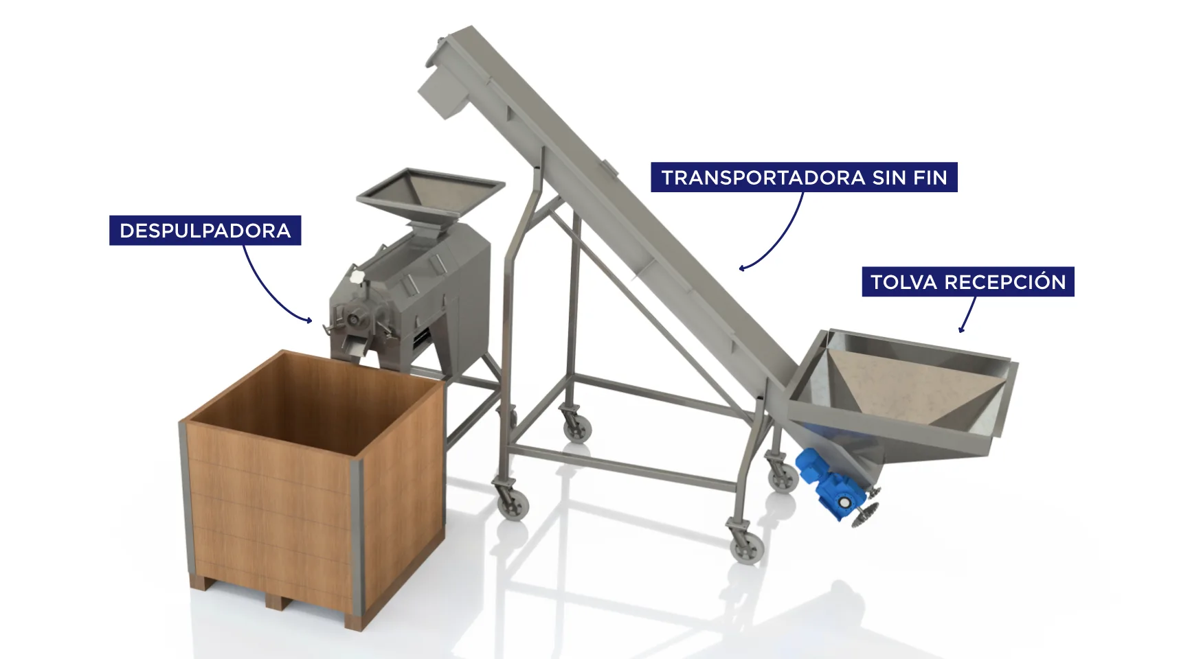 linea de despulpado de cacao. Linea standard.